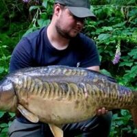 Recent Captures Image