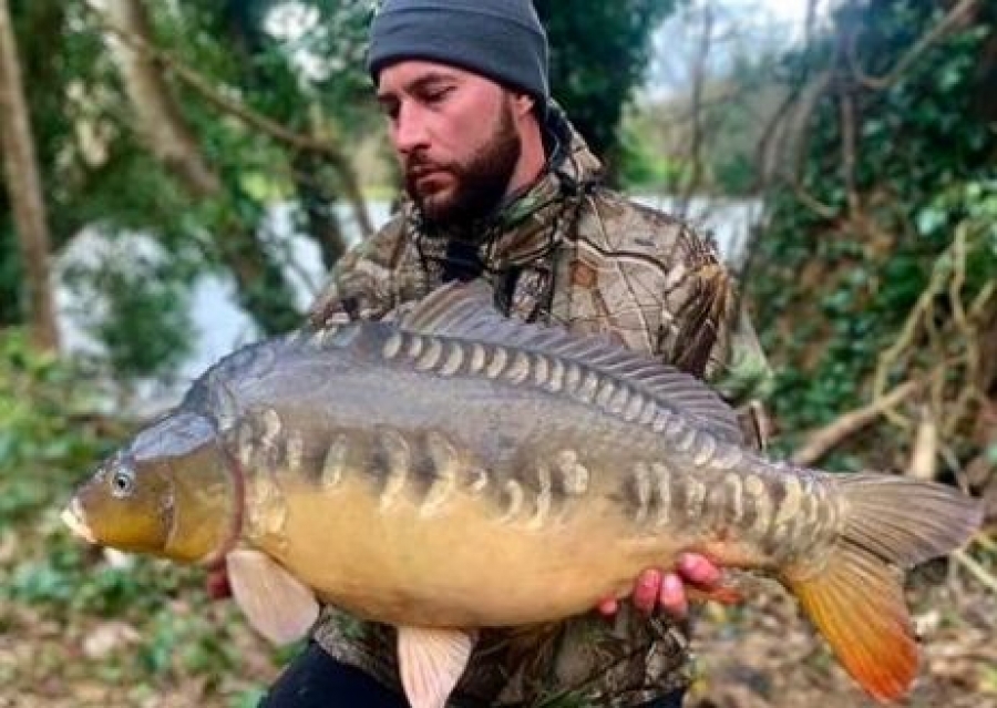 Recent Captures Image