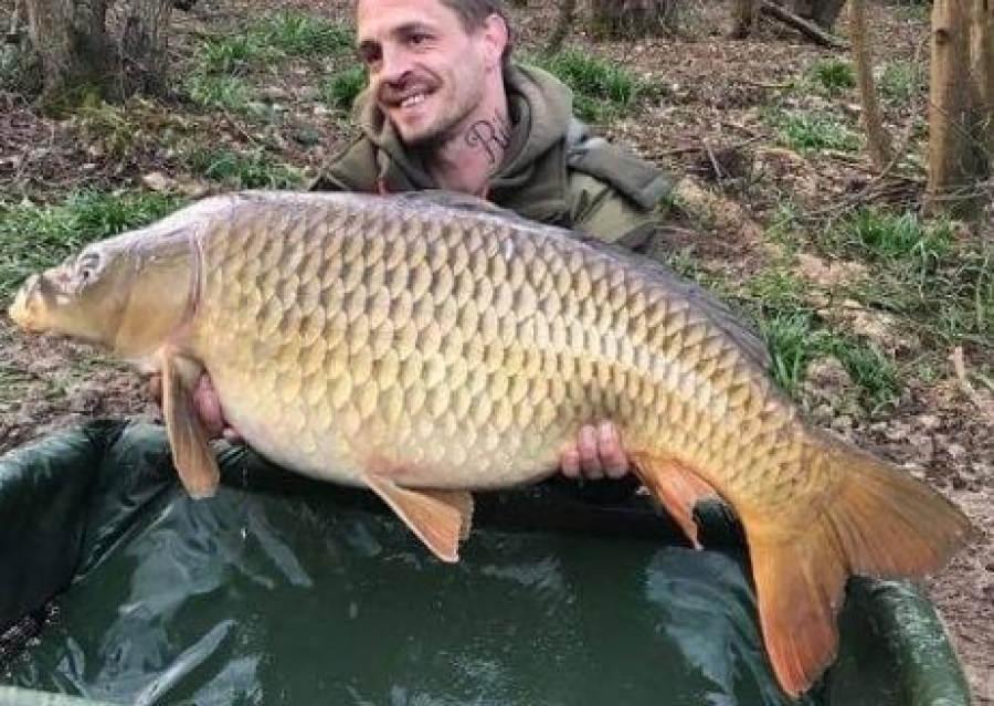 Recent Captures Image