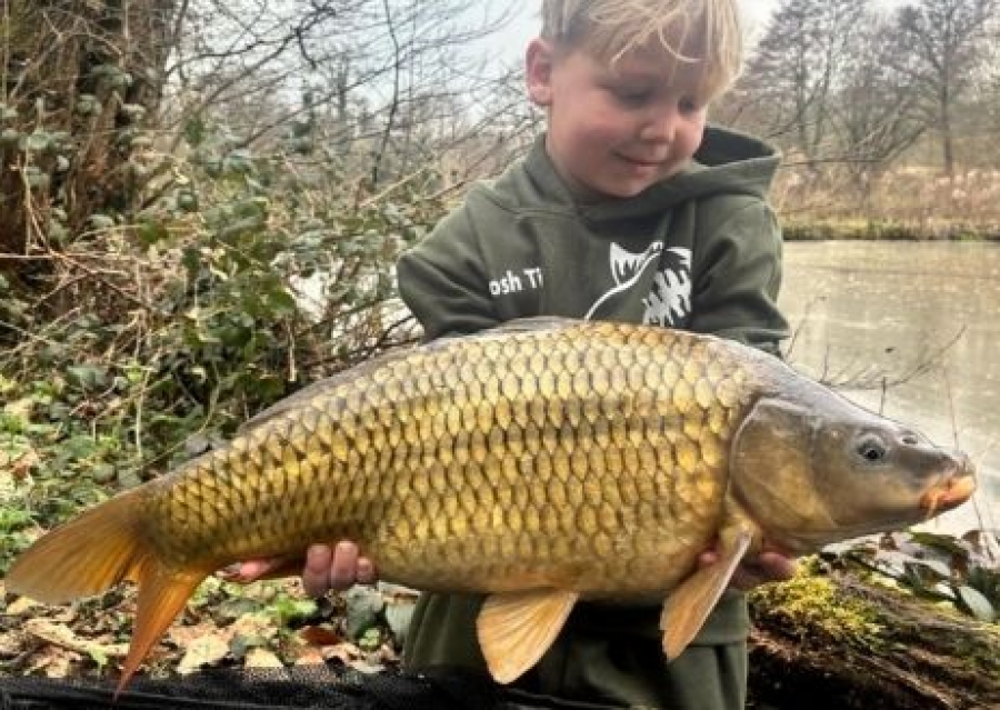 Recent Captures Image