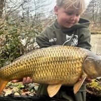 Recent Captures Image