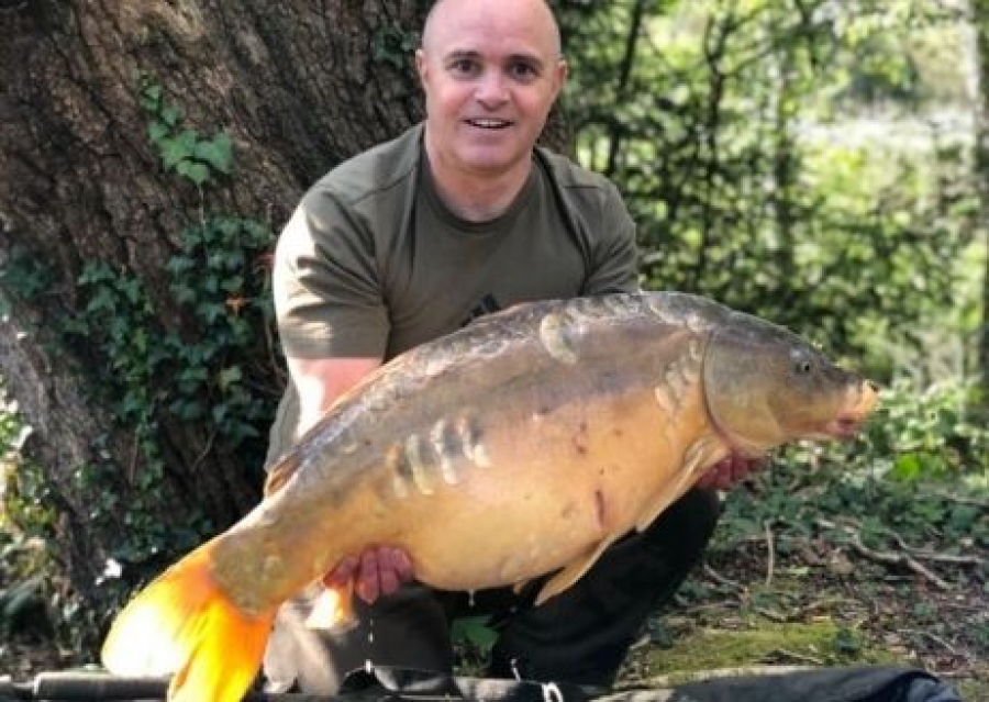 Recent Captures Image