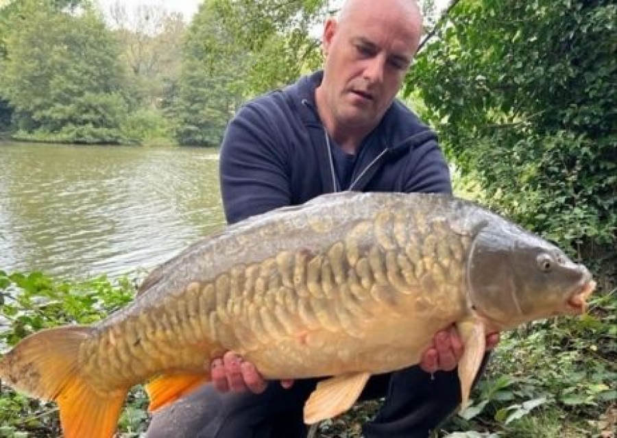 Recent Captures Image