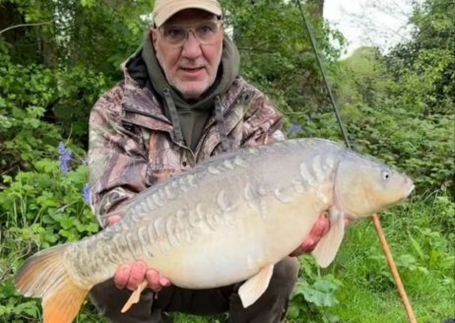 Recent Captures Image