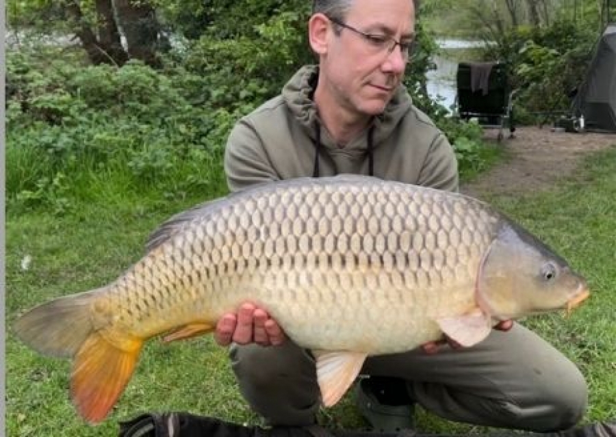 Recent Captures Image