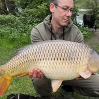 Recent Captures Image