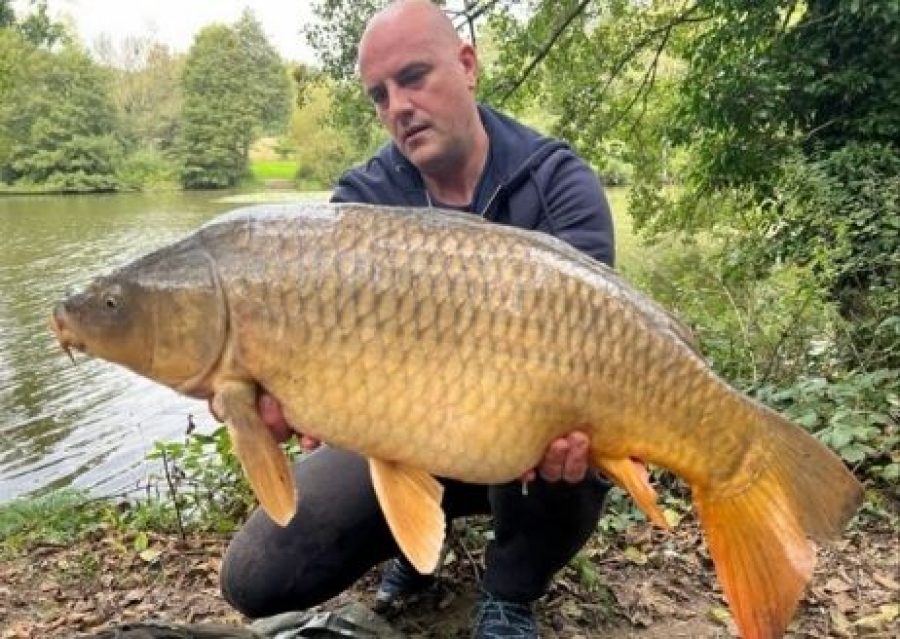 Recent Captures Image