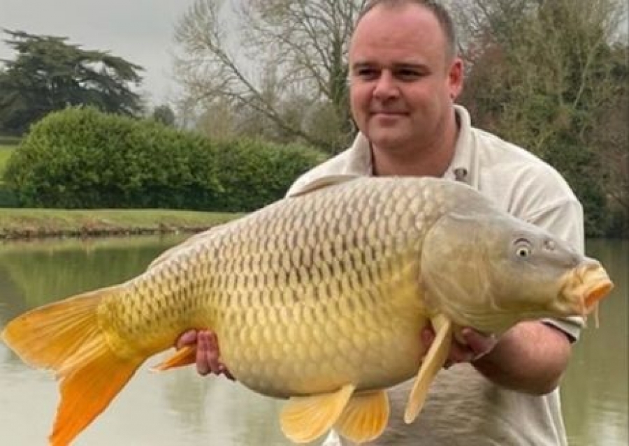 Recent Captures Image