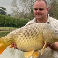 Recent Captures Image