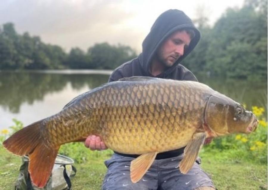 Recent Captures Image