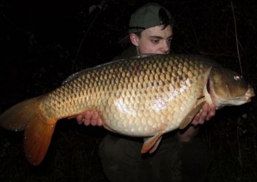 Recent Captures Image