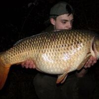 Recent Captures Image