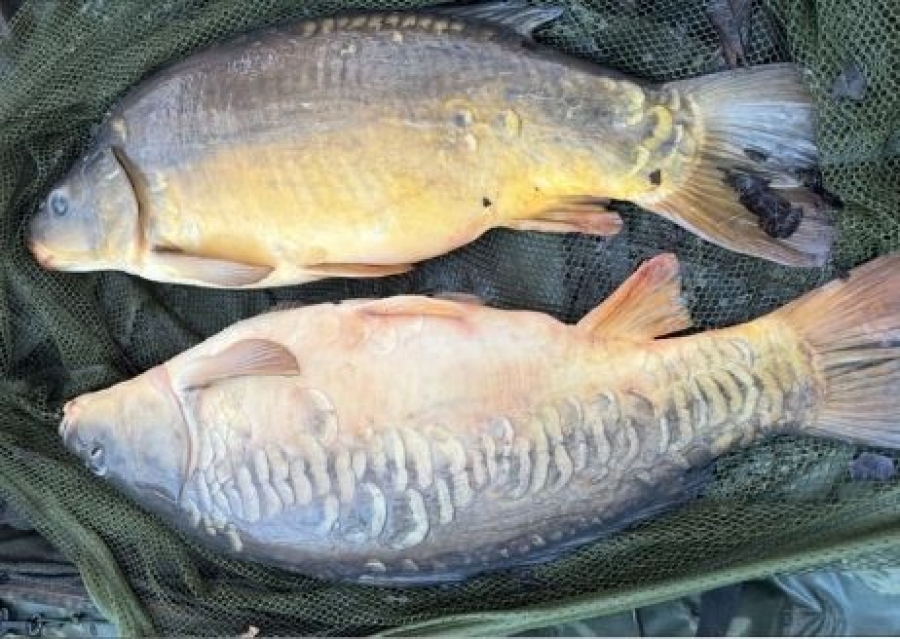 Recent Captures Image