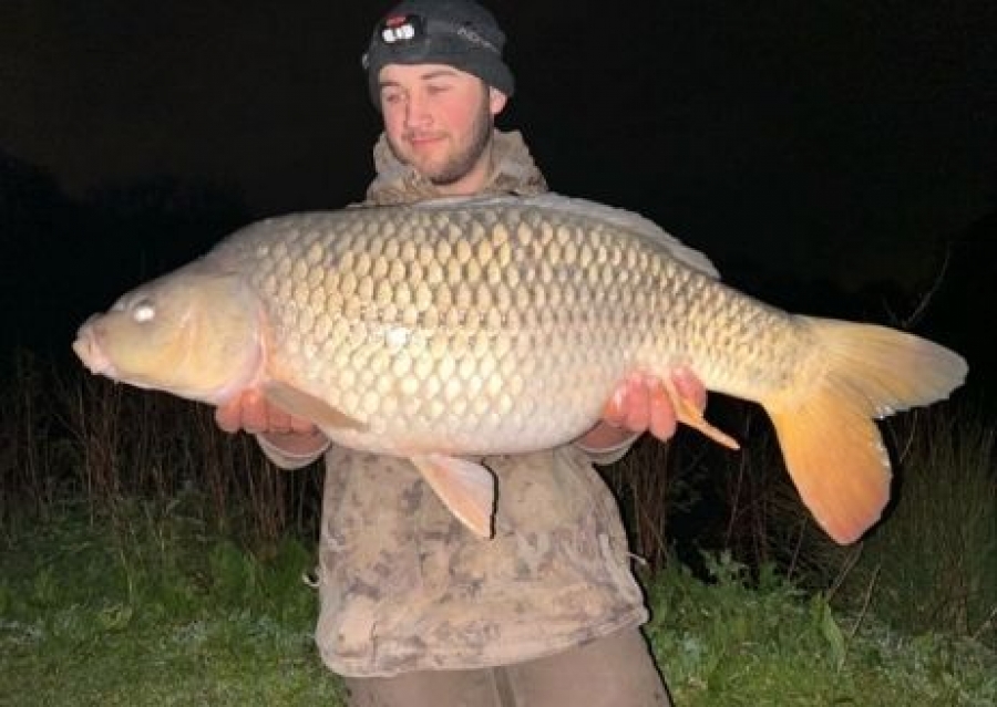 Recent Captures Image