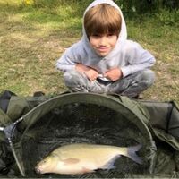 Recent Captures Image