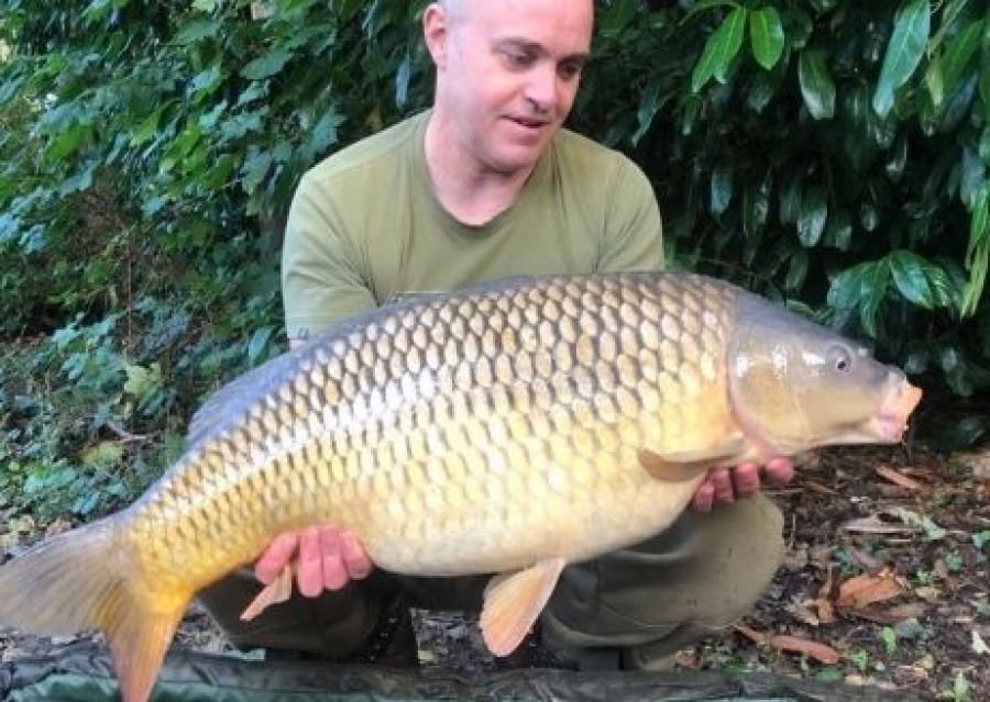 Recent Captures Image