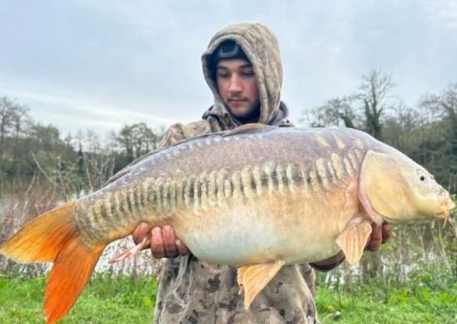 Recent Captures Image