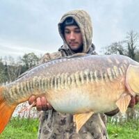 Recent Captures Image