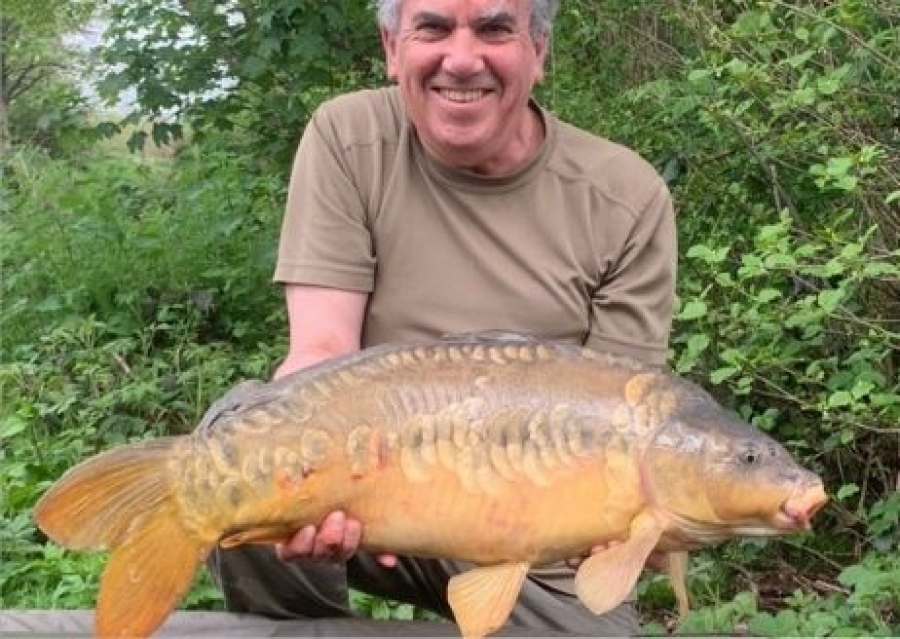 Recent Captures Image