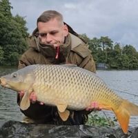 Recent Captures Image