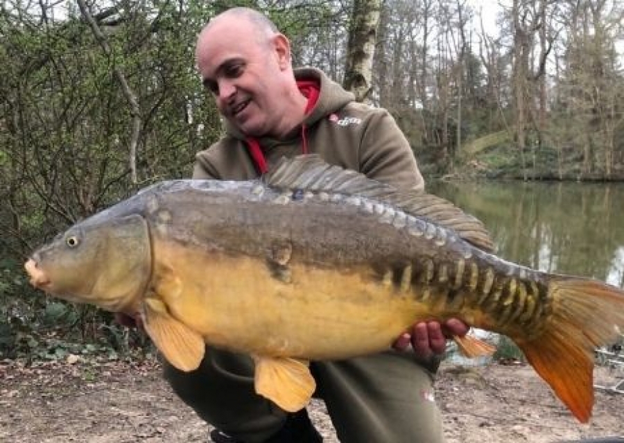 Recent Captures Image