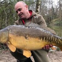 Recent Captures Image