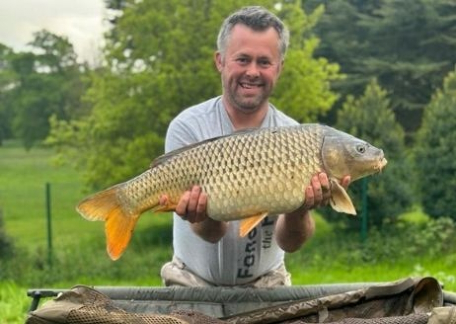 Recent Captures Image