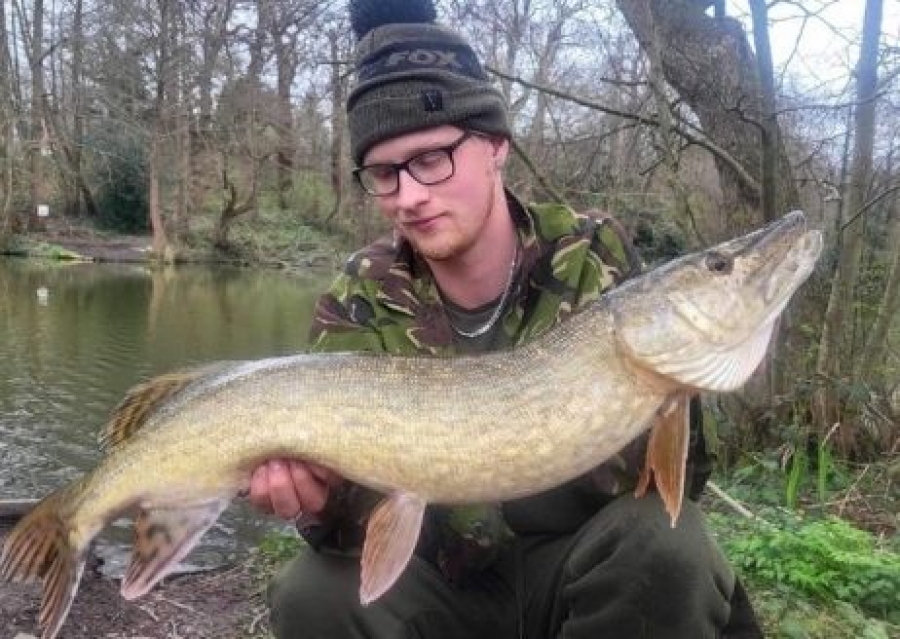 Recent Captures Image