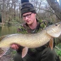 Recent Captures Image