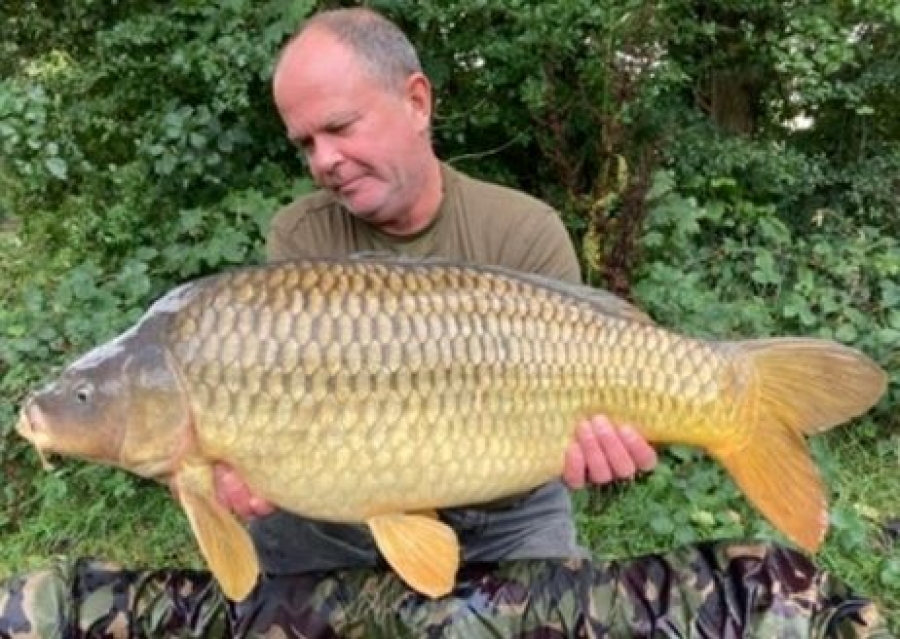 Recent Captures Image