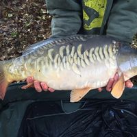 Front Fish Stocking 2016 Image