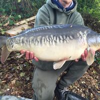 Front Fish Stocking 2016 Image