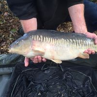 Front Fish Stocking 2016 Image