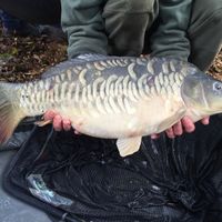 Front Fish Stocking 2016 Image