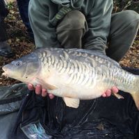 Front Fish Stocking 2016 Image