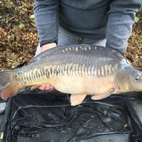 Front Fish Stocking 2016 Image