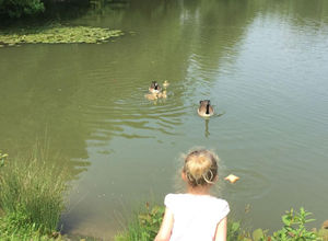 Combe Bank Lake